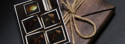 Tammy Tanuka мини палетка "Умиротворенный Земляной Дракон" (Большой обзор)