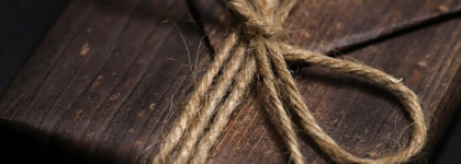 Tammy Tanuka мини палетка "Умиротворенный Земляной Дракон" (Большой обзор)