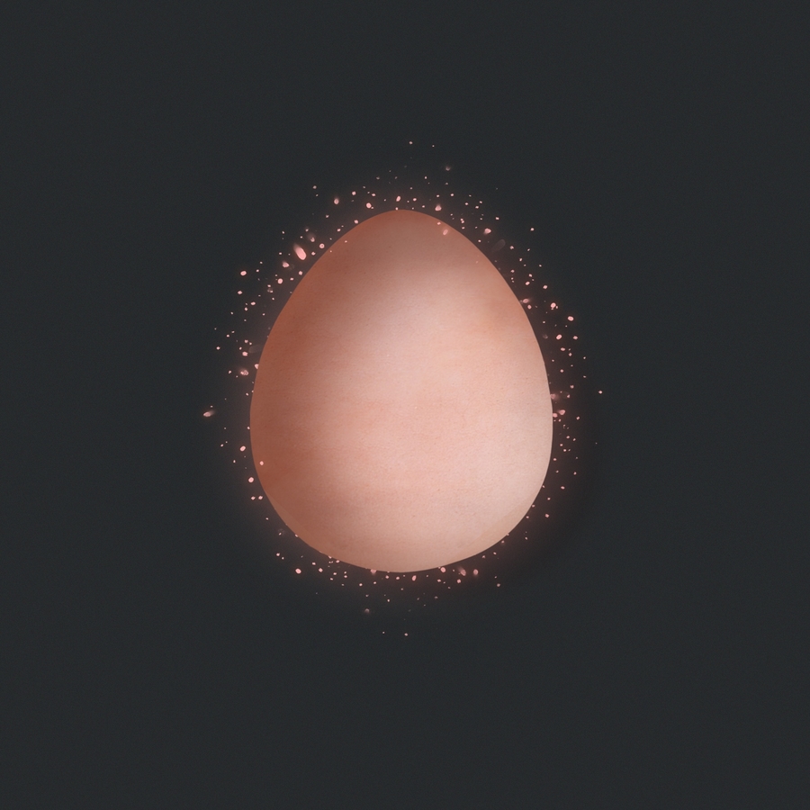 Иллюстрация кожистого яйца с официального сайта