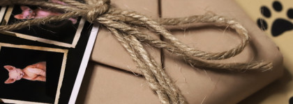 Tammy Tanuka мини палетка "Дивноглазый Блудный Кот" (Большой обзор)