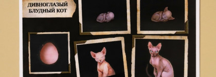 Tammy Tanuka мини палетка "Дивноглазый Блудный Кот" (Большой обзор)