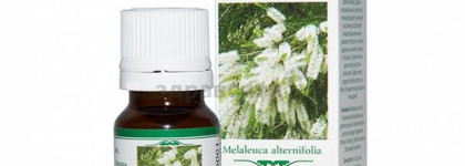 Моя прелесть ... эфирное масло чайного дерева