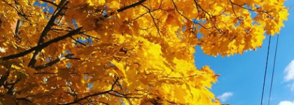 Моя тёплая осень Estee Lauder Sensuous EDP