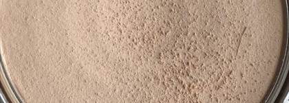 Минеральная пудра Artdeco Hydra Mineral Compact Foundation оттенок 65