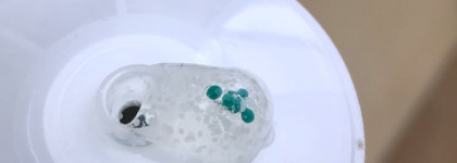 Моя прелесть, которая не оставила шансов жирной коже. Zein Obagi Exfoliating Cleanser for Normal to Oily Skin