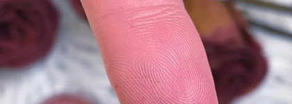 Оптимальная коллекция румян старенького люкса и не только