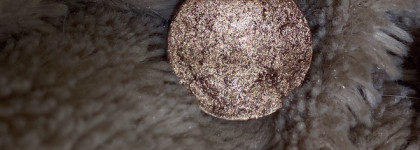 Продолжаю обожать. Bernovich creative 174