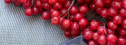 Сочная Chantecaille lip veil Impatiens