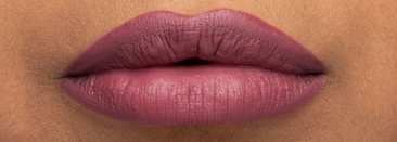 Принцессы вернулись! И захватили с собой Магическое Зеркало, Последний Лепесток, Раджу, Гуппи и Мечту Гурмана