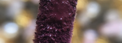 NYX Liquid Suede Cream Lipstick 12 Vintage - сплошное противоречие