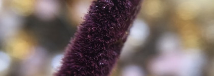 NYX Liquid Suede Cream Lipstick 12 Vintage - сплошное противоречие