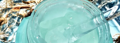 Primera Alpine Berry Watery Oil-Free Gel Cream - увлажняющий гель для жирной/комбинированной кожи