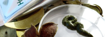 Medi-Peel Herbal Peel Tox - Заживляющая, успокаивающая & отшелушивающая пилинг маска с порошоком Спикулы Морских губок и пептидами