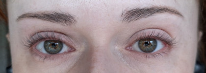 Новинка, достойная похвалы - тушь L'Oreal Paris Volume Million Lashes Panorama black