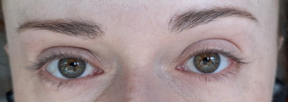 Новинка, достойная похвалы - тушь L'Oreal Paris Volume Million Lashes Panorama black