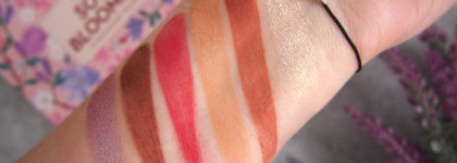 Новые тени 2020, палеточный кощей 2.0 или "моя коллекция после прошлой коллекции"