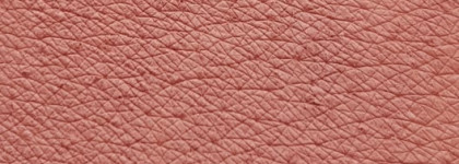 Карандаш для губ от Parisa Cosmetics