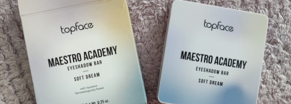 Topface Maestro academy eyeshadow bar в оттенке soft dream