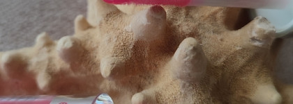 Любимец последнего времени - масло для губ Essence lip oil Pink champagne