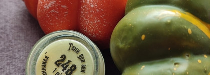 Тени Ашера 248 Ланиакея