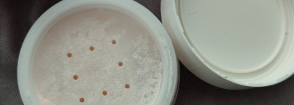 Действительно матирующая пудра Promakeup laboratory True matte translucent powder