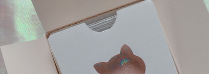 Clio Luxury Koshort Glass & highligter 01 Moon glow