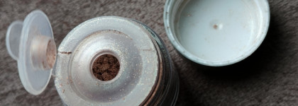 Скромный дуохром на каждый день: Ашера Гармония 322