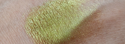 Зелень у Ашера: Лесная чаща 297