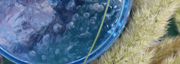 Два волшебника от Lumene - Кислородная увлажняющая и Успокаивающая маски для лица