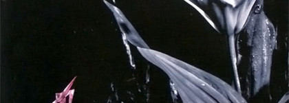 Mugler Angel Garden Of Stars - Pivoine Angel EDP: пионистый Ангел? Обзор восхитительного аромата