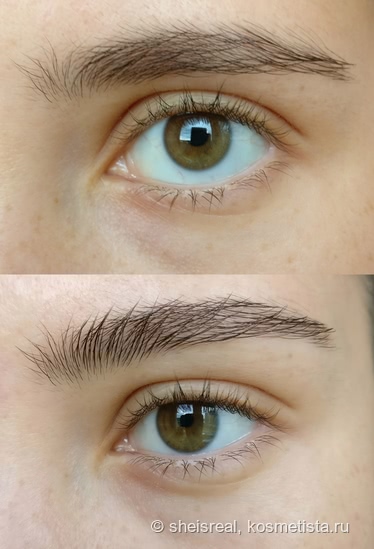 Брови. Дорого. Стоит ли? Nars Brow Gel и Estee Lauder Brow Now Volumizing Brow Tint