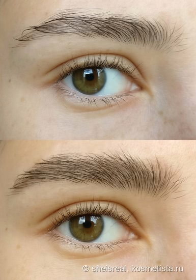 Брови. Дорого. Стоит ли? Nars Brow Gel и Estee Lauder Brow Now Volumizing Brow Tint