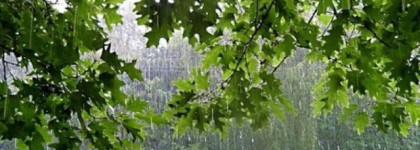 Встречаем весну вместе с ароматом Morning Muscs Alexandre.J