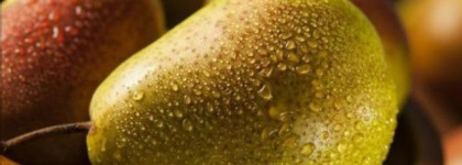 Встречаем весну вместе с ароматом Morning Muscs Alexandre.J