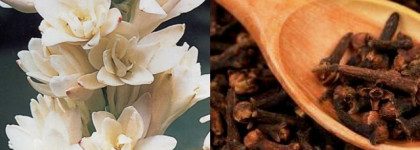 Аромат любви Gold Flowers Montale