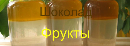 Двухфазный аромат Amour De Cacao Comptoir Sud Pacifique