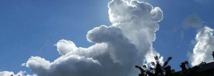 Парфюм в стиле нюд - White Musk Montale