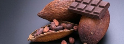 Шоколадное искушение - Dark Chocolate Demeter Fragrance