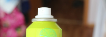 Сухой шампунь Schwarzkopf Got2b Экстра Свежесть - летняя палочка-выручалочка