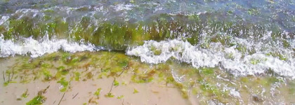 Звуки волн в Eternity Summer 2013 от Calvin Klein