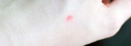 Разбор bb-кремовой полочки в комоде - от любимых до неподходящих тональных средств