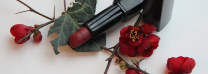 Моя коллекция красных помад от бренда Chanel