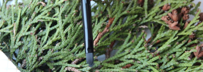 "Оттенки розового" с палеткой для губ Camélia d'eau из коллекции Le Blanc Spring 2020 от Chanel