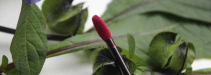 Красная осень. Часть I. Rouge Allure Ink Fusion в оттенке 836 Idyllique из коллекции Candeur et Experience. Acte II. Fall-winter 2020 от Chanel