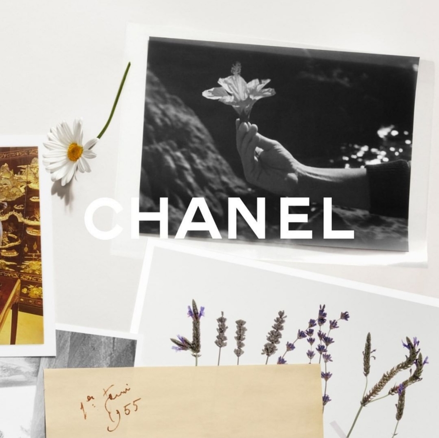 Скриншот превью показа Chanel Cruise 2021/22 из соц.сетей бренда. На фото цветок гибискуса.