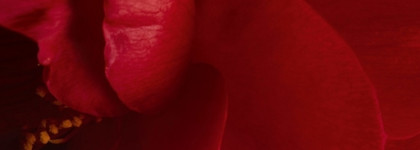 Коллекция #1 de Chanel. Красота, опережающая время?