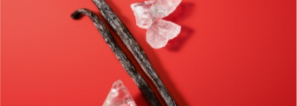 Парфюмерные новинки 2022: Giorgio Armani, Lancome и Tom Ford