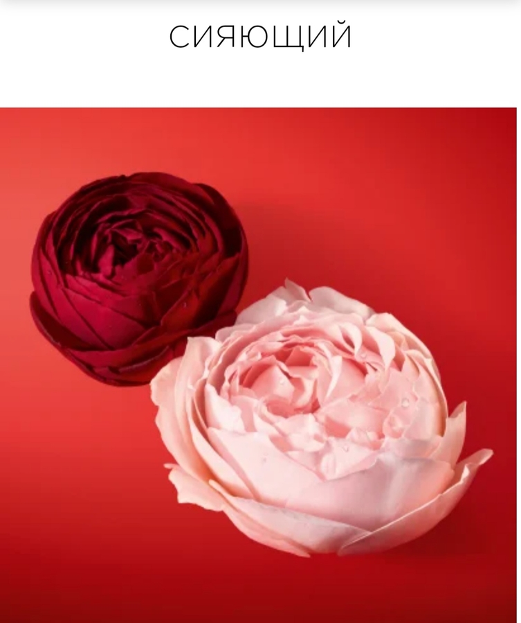 Столистая и дамасская розы. Скрин с официального сайта бренда.