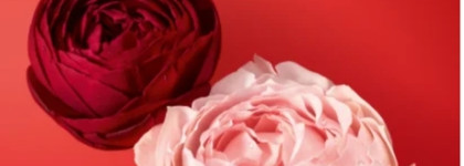 Парфюмерные новинки 2022: Giorgio Armani, Lancome и Tom Ford