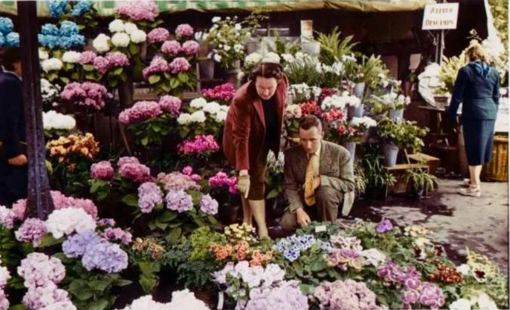 Катрин Диор и Эрве де Эрве де Шарбоннери на цветочном рынке. Фото из свободного доступа. Оригиналы фото находятся в архивах Dior.